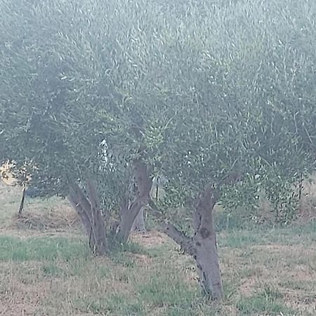Principessa Telendos Villa Kálymnos Eksteriør bilde